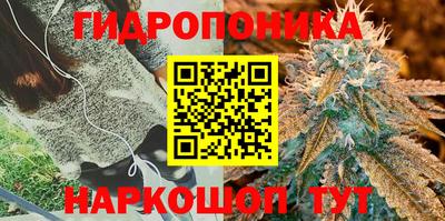 прущая мука Камышлов