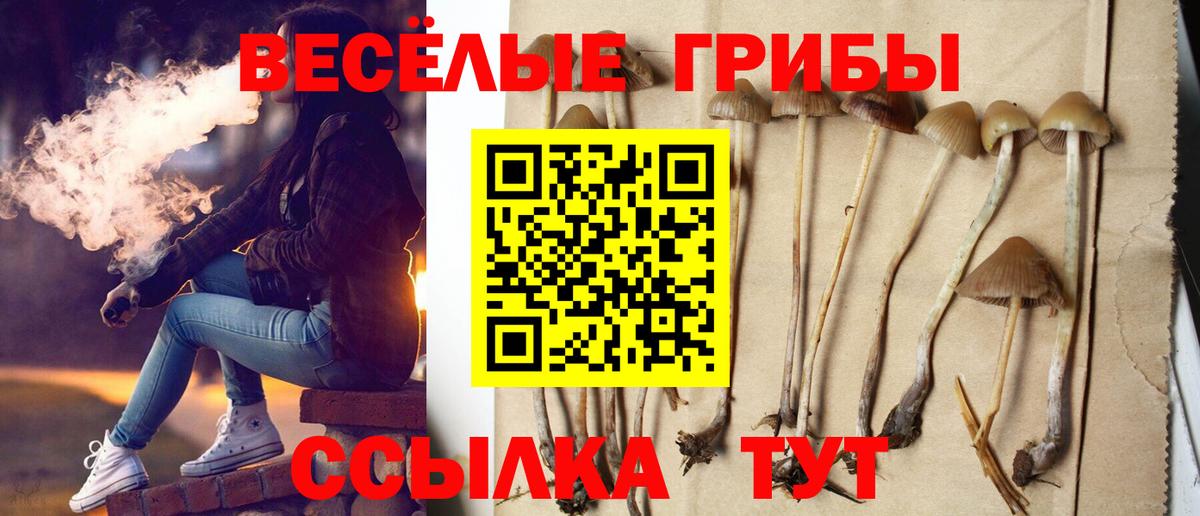 Галлюциногенные грибы ЛСД  Вход с VPN  Галлюциногенные грибы мухоморы  Гулькевичи 